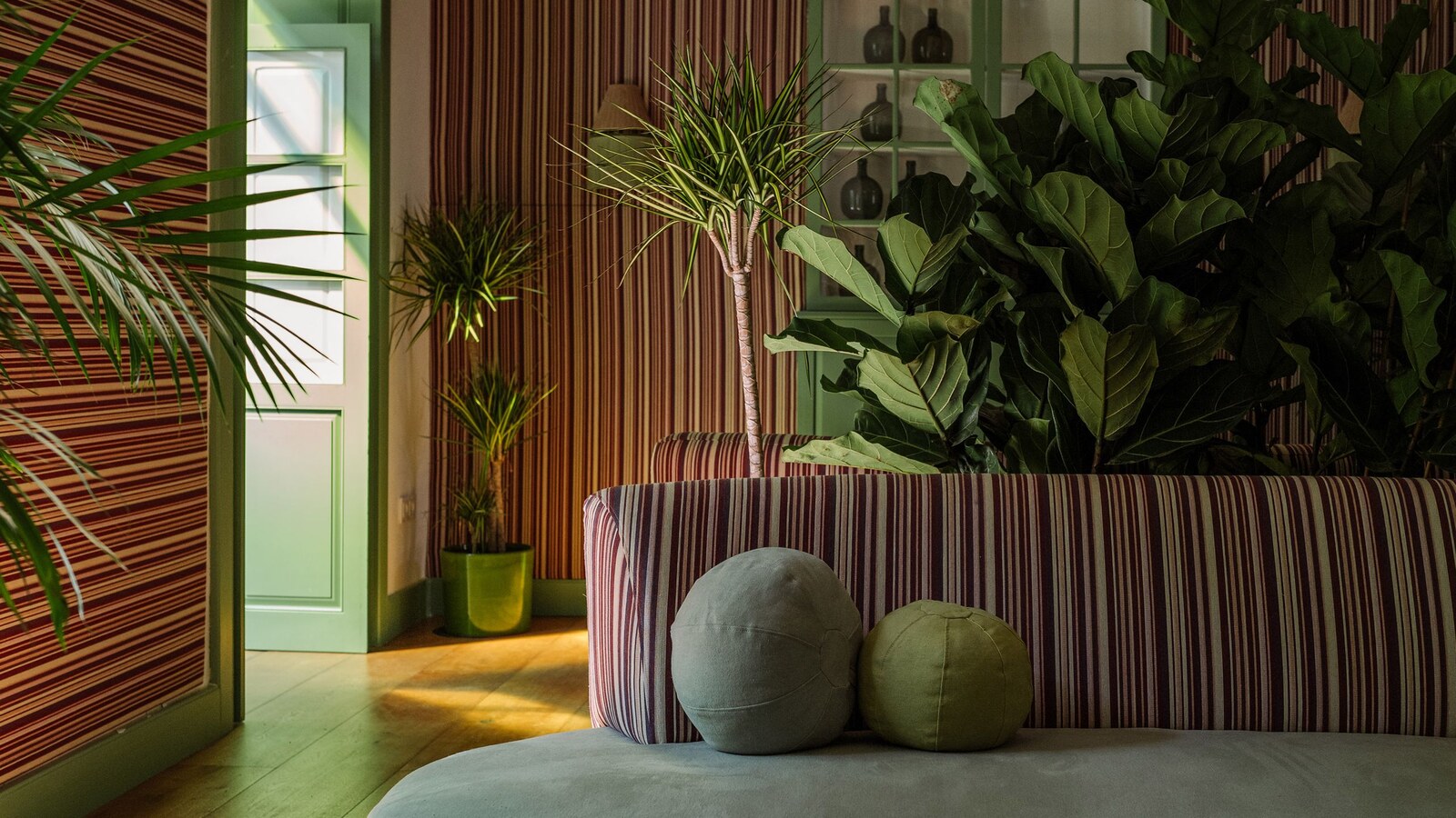 C&eacute;sar Lanzarote &mdash; the striped lounge with tropical plants