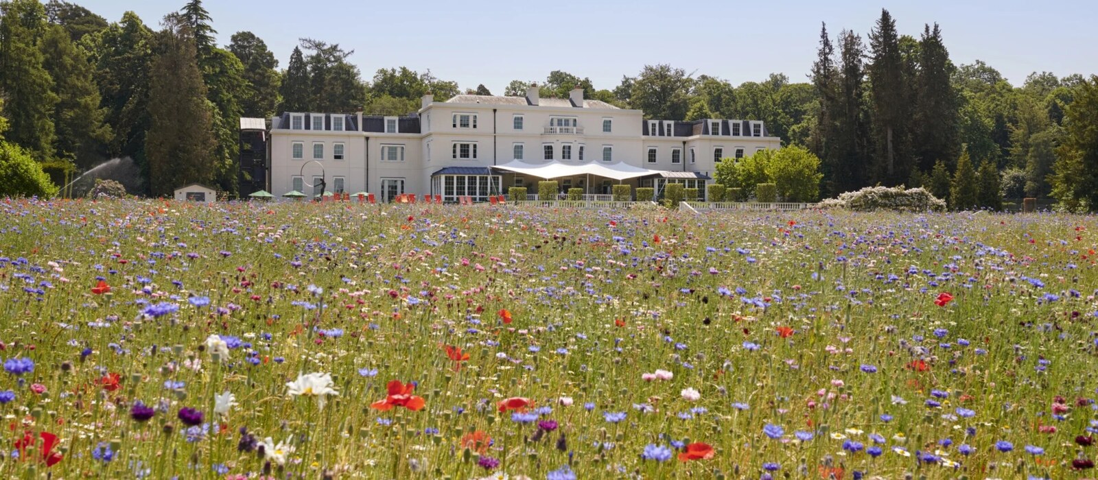 Coworth Park — the house across the wildflower meadow