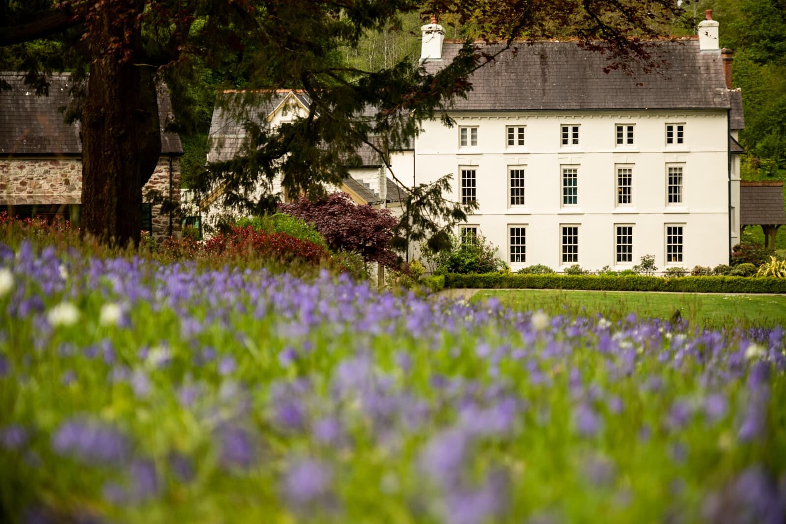 The Grove of Narberth
