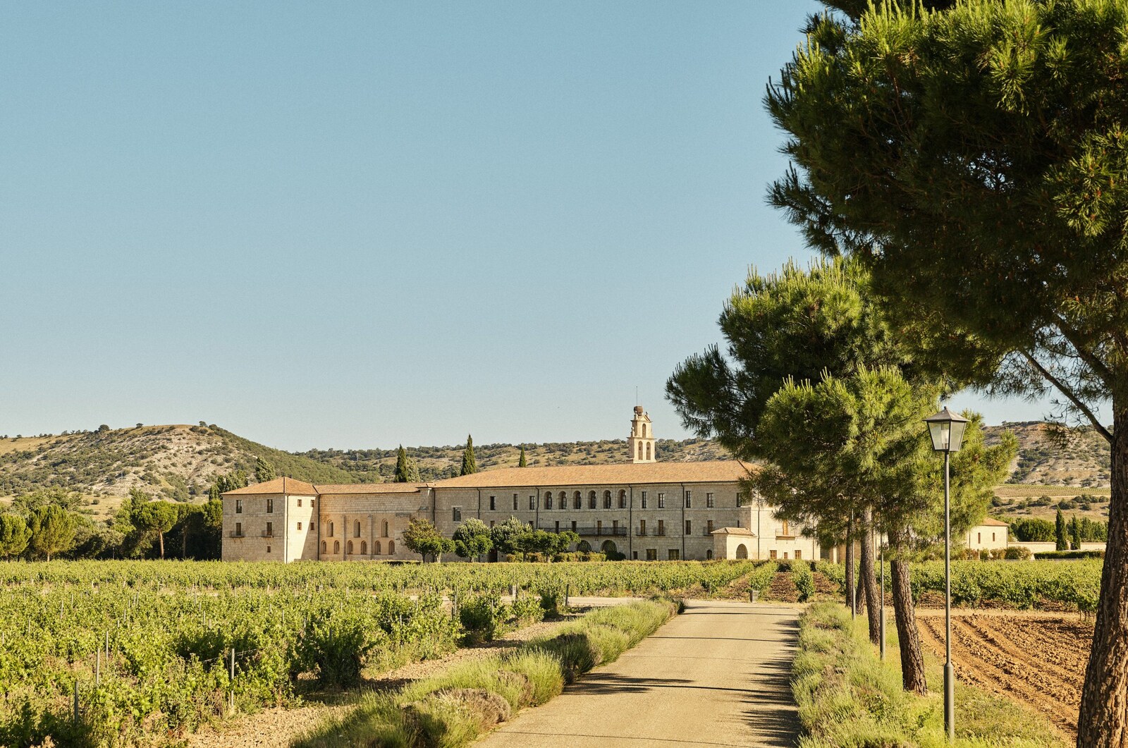 Abad&iacute;a Retuerta &mdash; the approach through the vineyards
