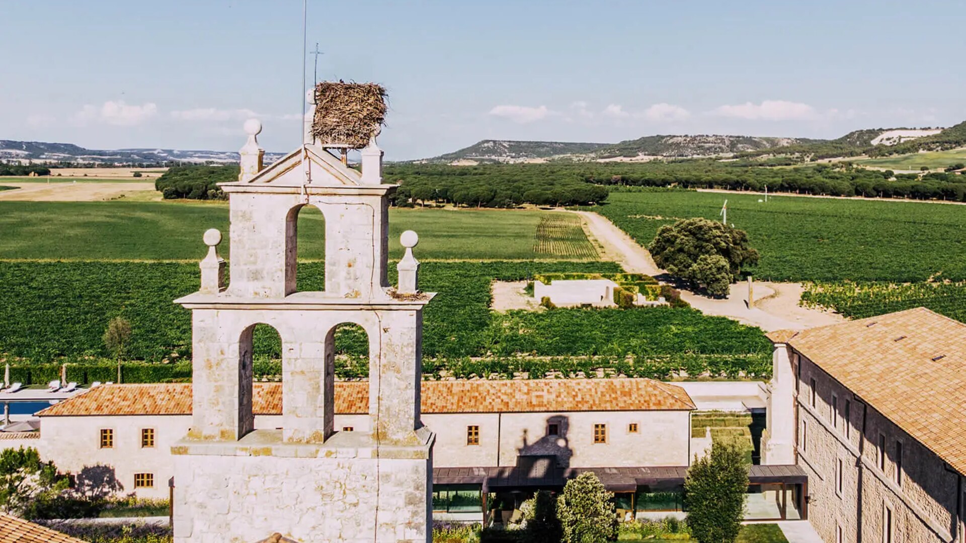 Abad&iacute;a Retuerta &mdash; bell tower with stork&rsquo;s nest over the vineyards