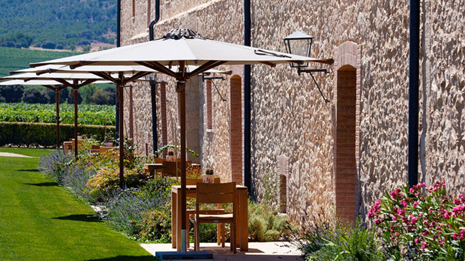 Abad&iacute;a Retuerta &mdash; lunch under the umbrellas by the cellar wall
