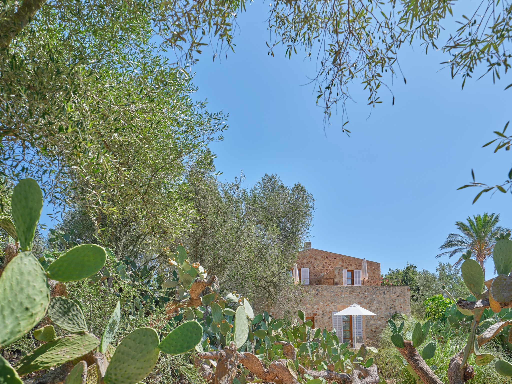 Son Penya Petit Hotel — courtyard
