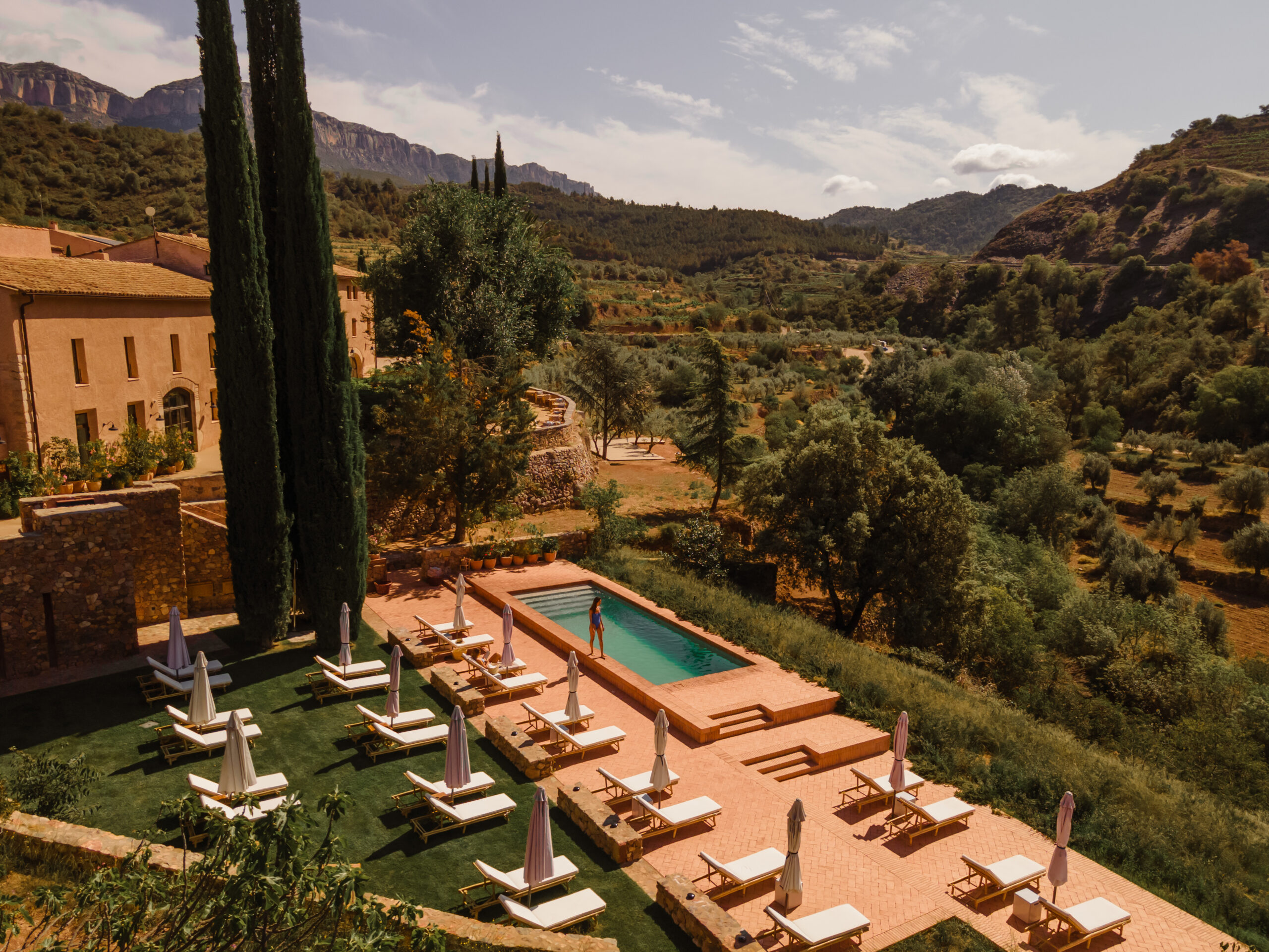 Terra Dominicata — vineyards from above