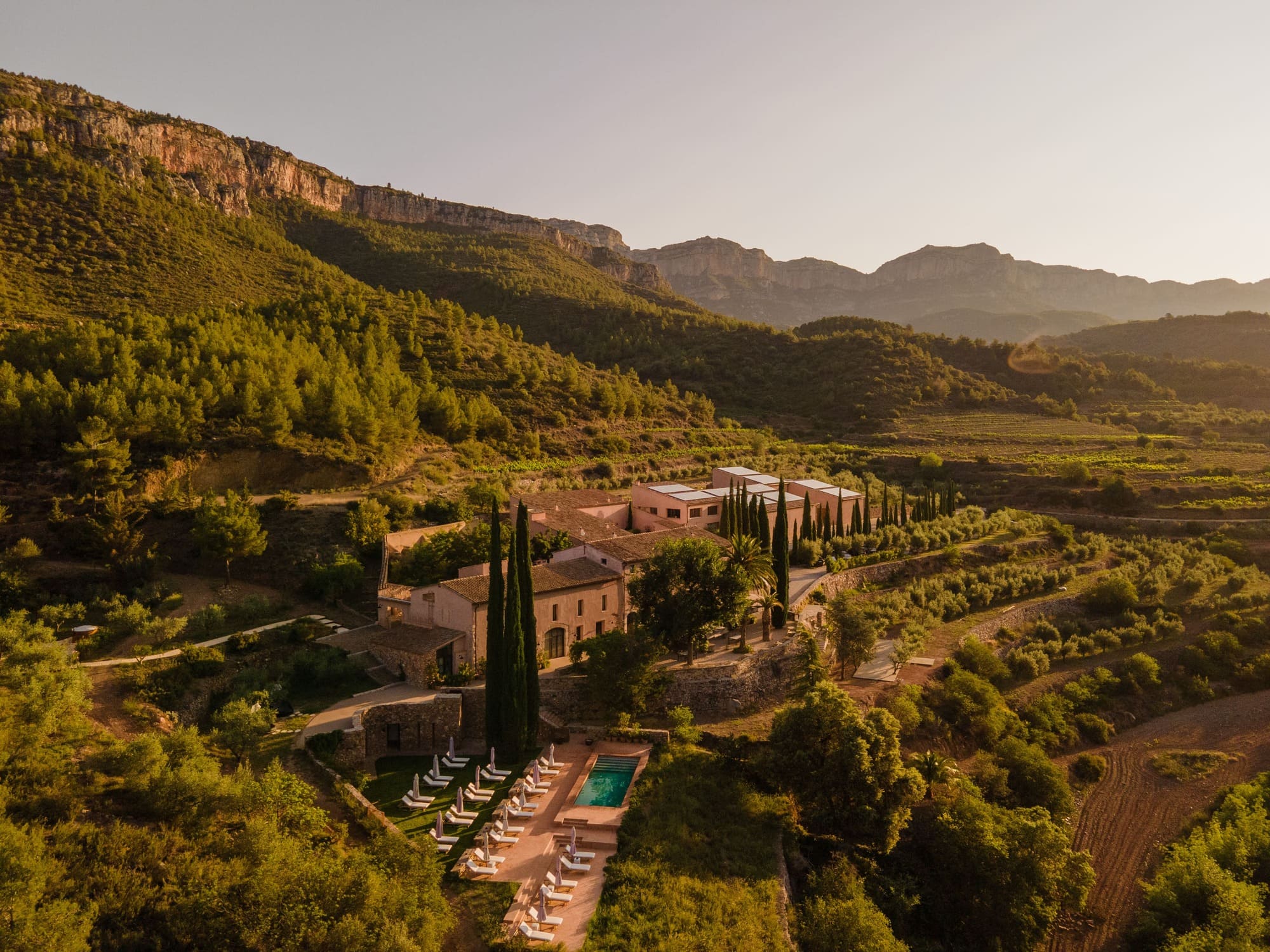 Terra Dominicata — Priorat hills