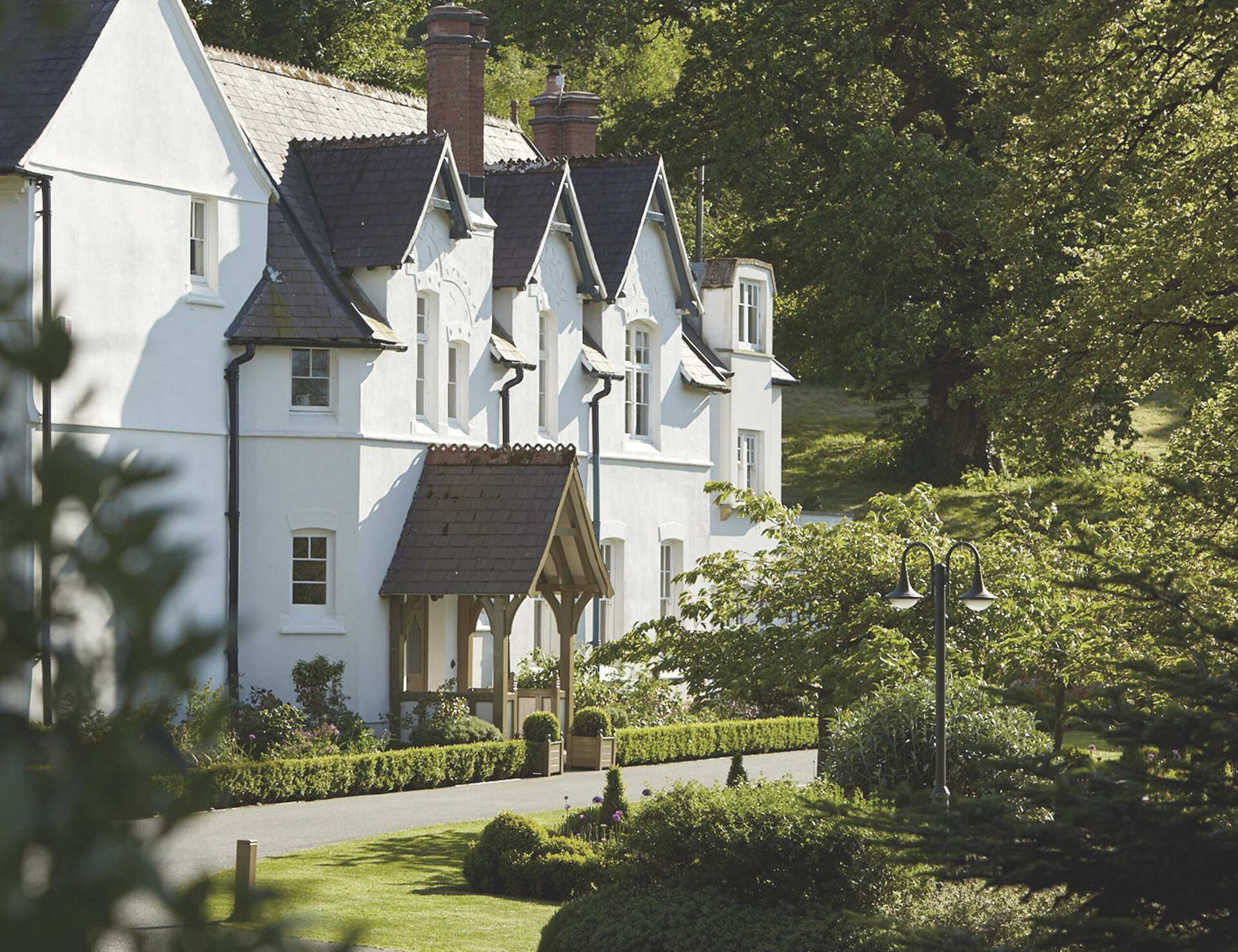 The Grove of Narberth