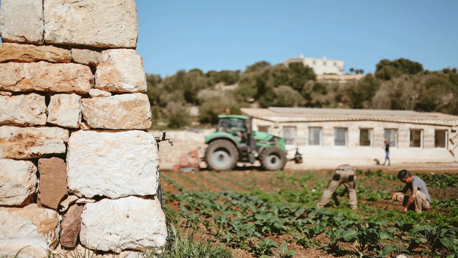 Son Blanc — the working farm